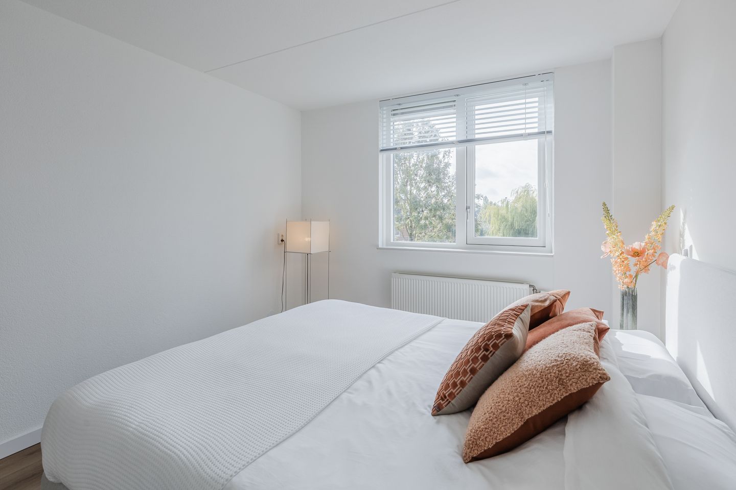 Foto 14 van Alver 62