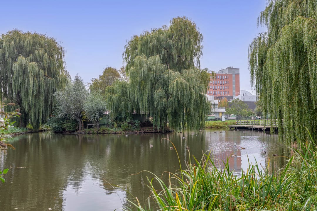 Foto 37 van J.C. Sterrenburgstraat 23