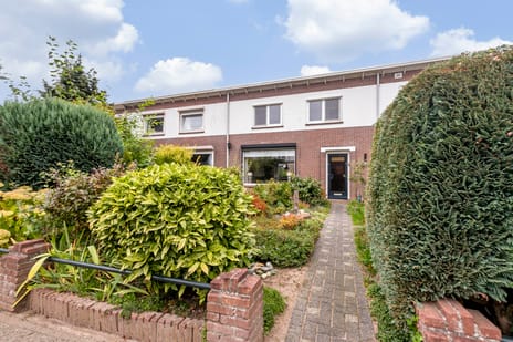 Canisplein thumbnail