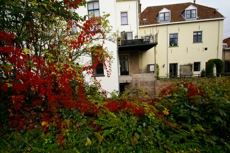 undefined main image