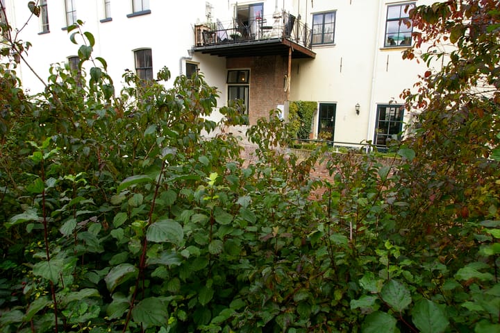 Photo 2 of Beekstraat 2-C