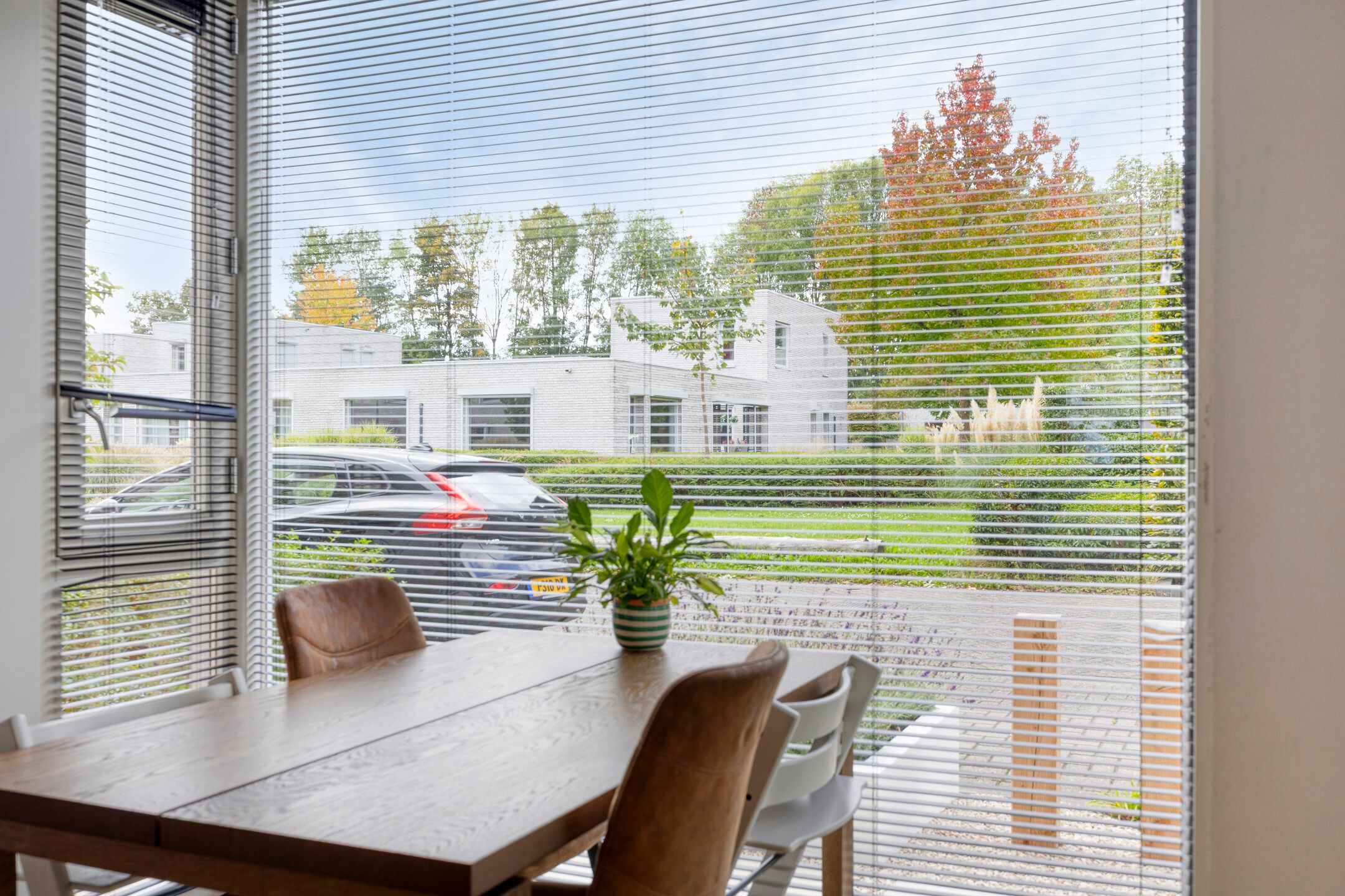 Foto 12 van Planken Wambuis 18