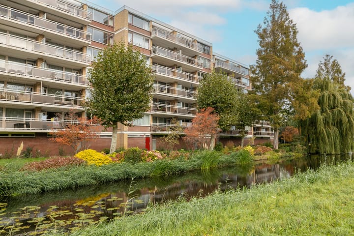 Foto 7 van Apollolaan 86