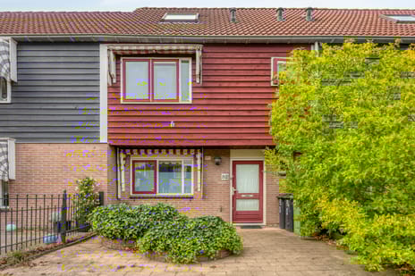 undefined main image