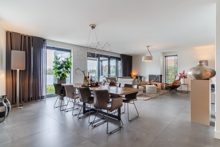 Photo 5 of Oeverzwaluw 13