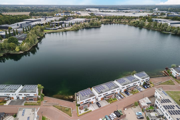 Photo 41 of Oeverzwaluw 13