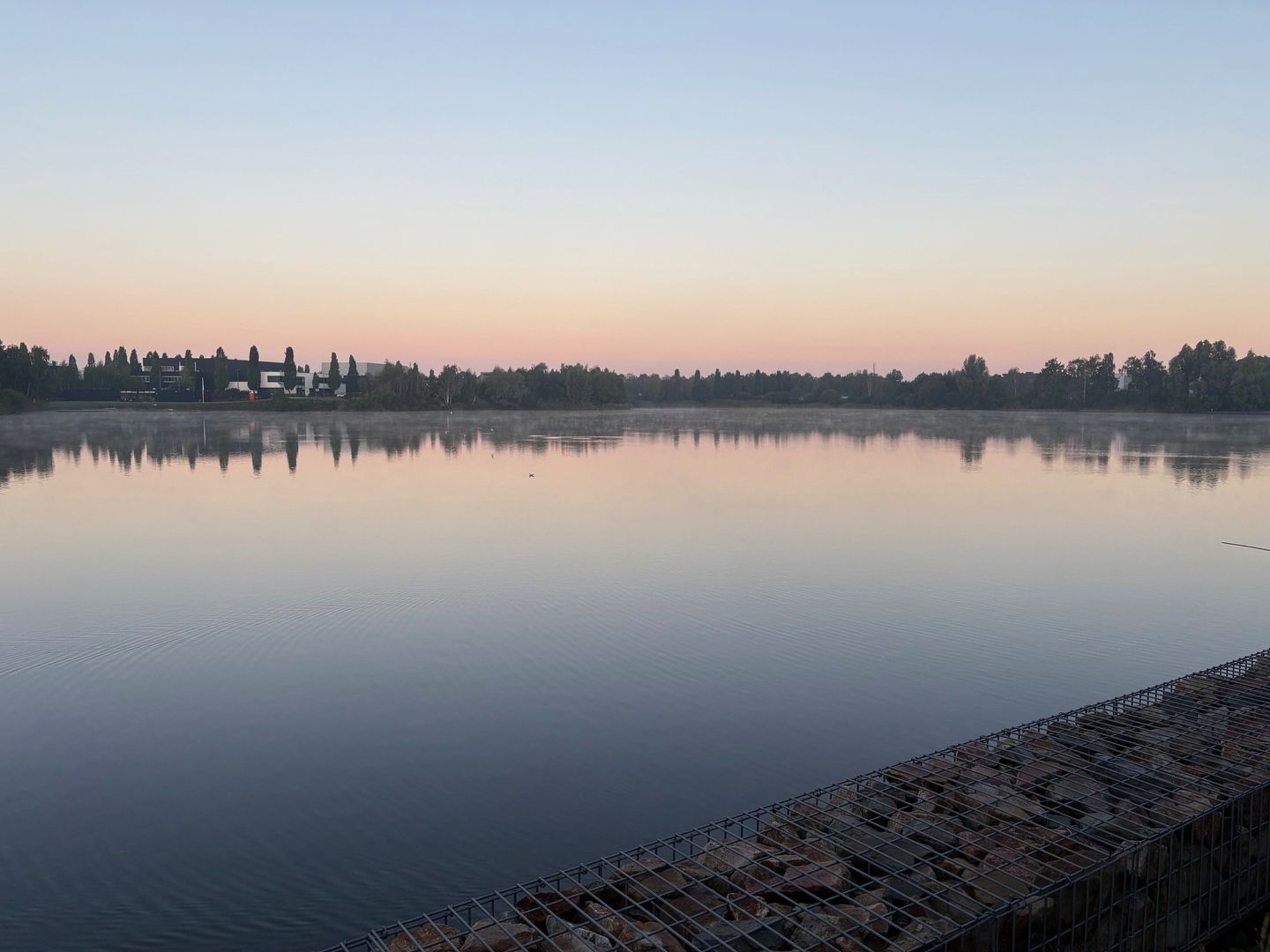 Photo 44 of Oeverzwaluw 13