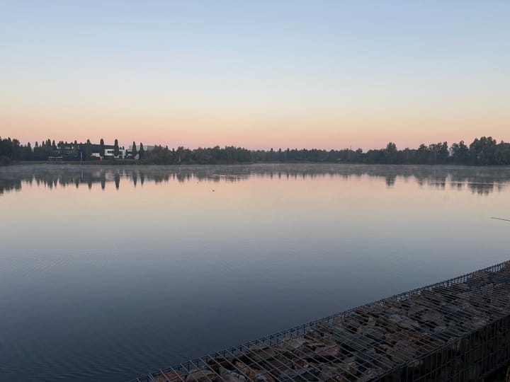 Photo 44 of Oeverzwaluw 13