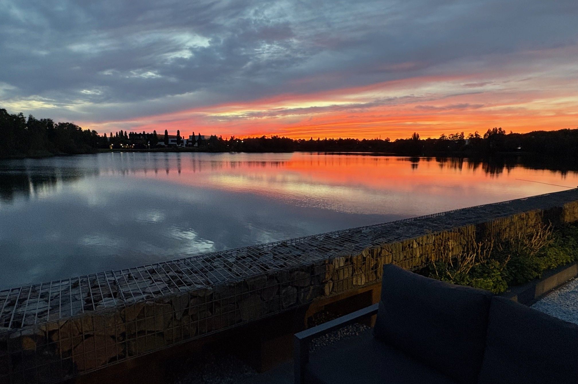 Photo 45 of Oeverzwaluw 13