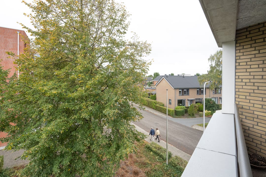 Foto 16 van Bernstein 70