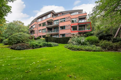 Burgemeester Staablaan thumbnail