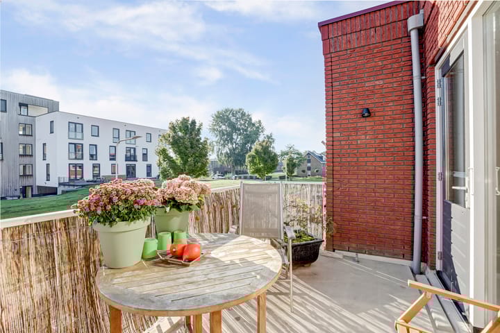 Foto 17 van De Pionier 58