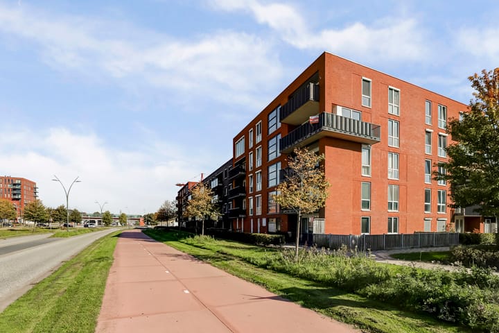 Foto 41 van De Pionier 58