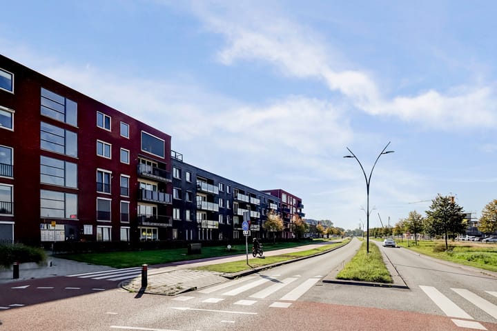 Foto 42 van De Pionier 58