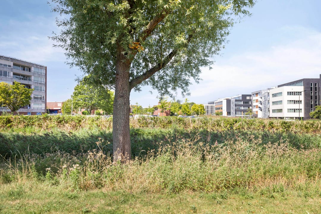 Foto 32 van Jan Arentsen Boomstraat 5