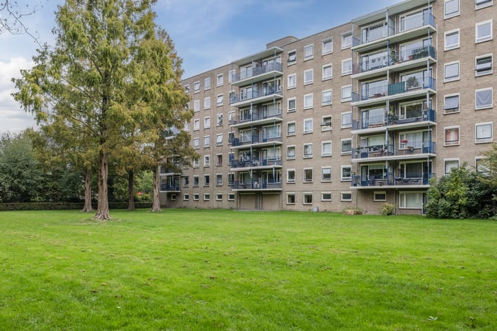 Foto 1 van Aert van Neslaan 119