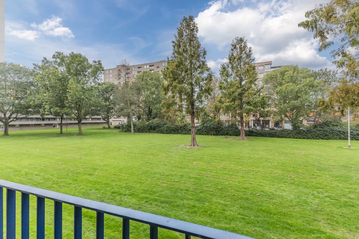 Foto 20 van Aert van Neslaan 119