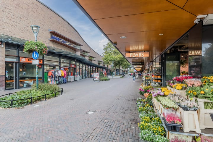 Foto 23 van Aert van Neslaan 119