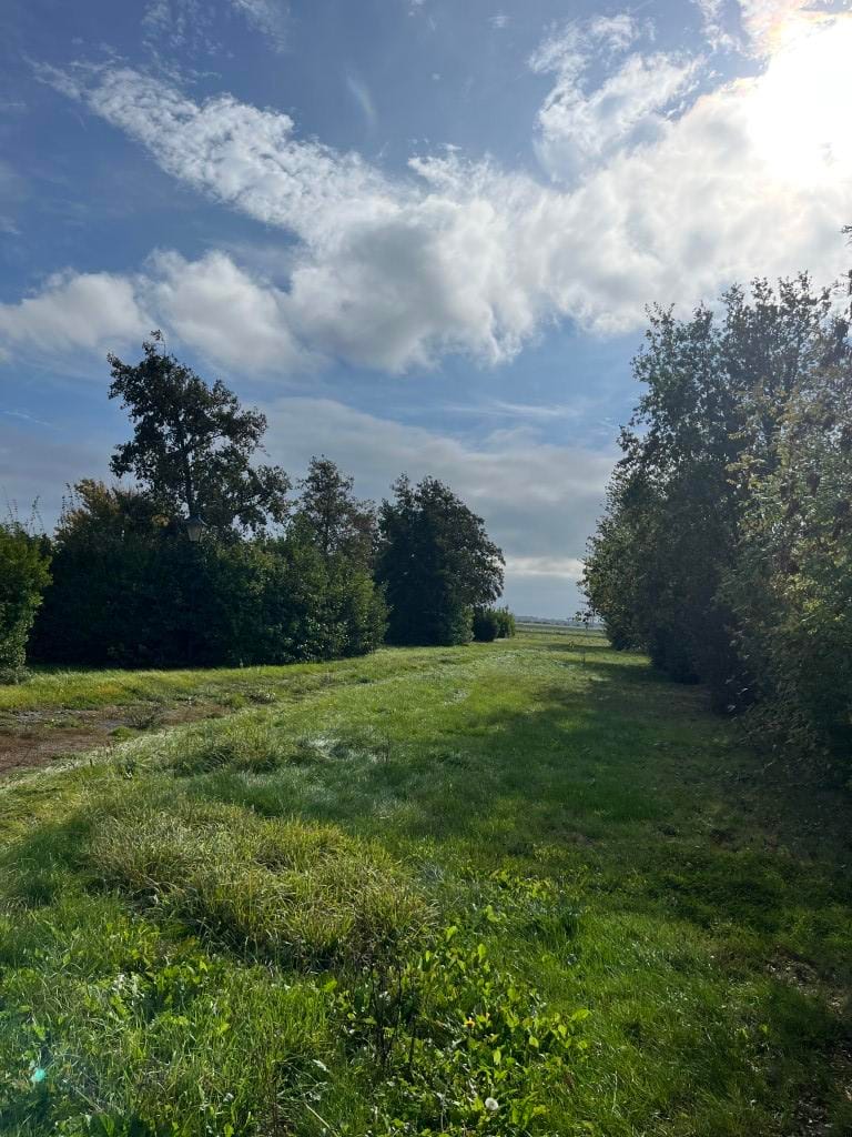 Bekijk foto 3 van Kerkweg 18
