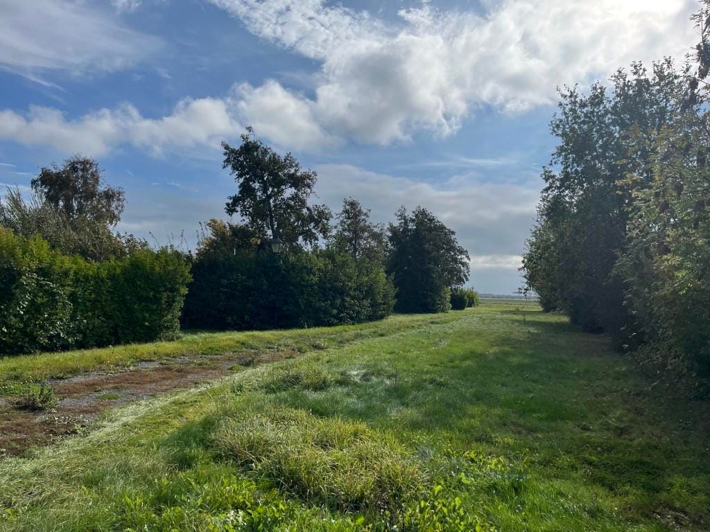 Bekijk foto 4 van Kerkweg 18