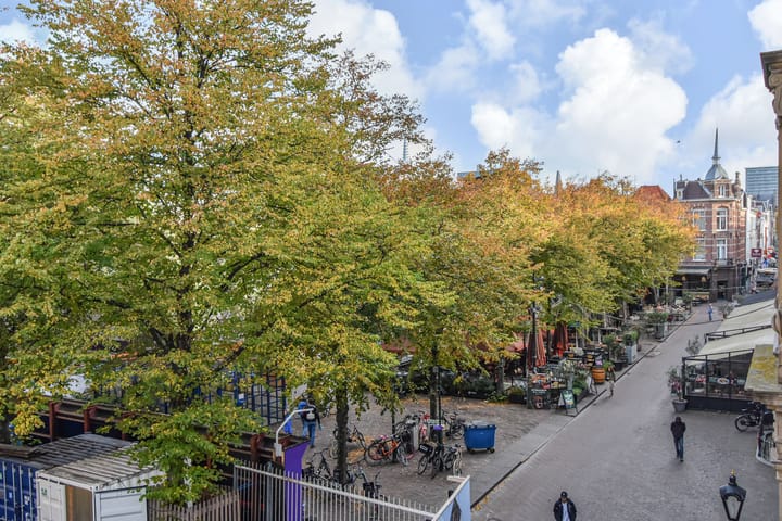 Foto 14 van Bagijnestraat 32-D