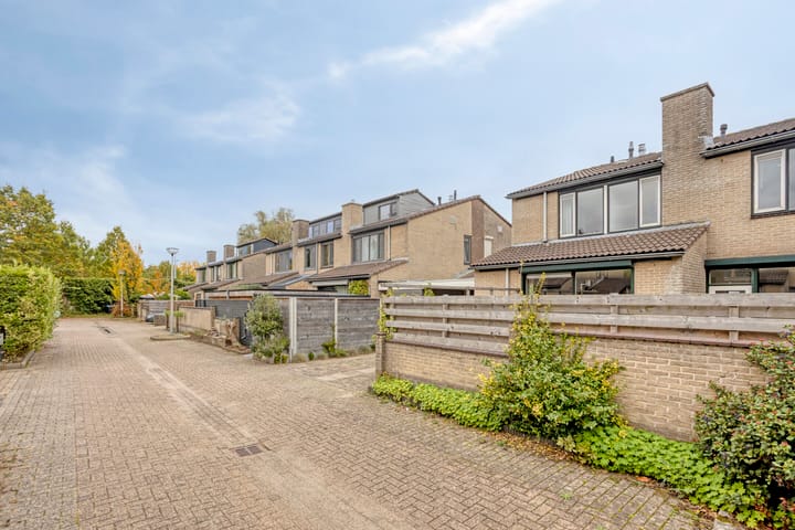 Foto 33 van Louise Michelstraat 8