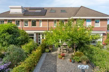 undefined main image