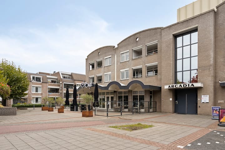 Foto 2 van Vincent van Goghplein 115