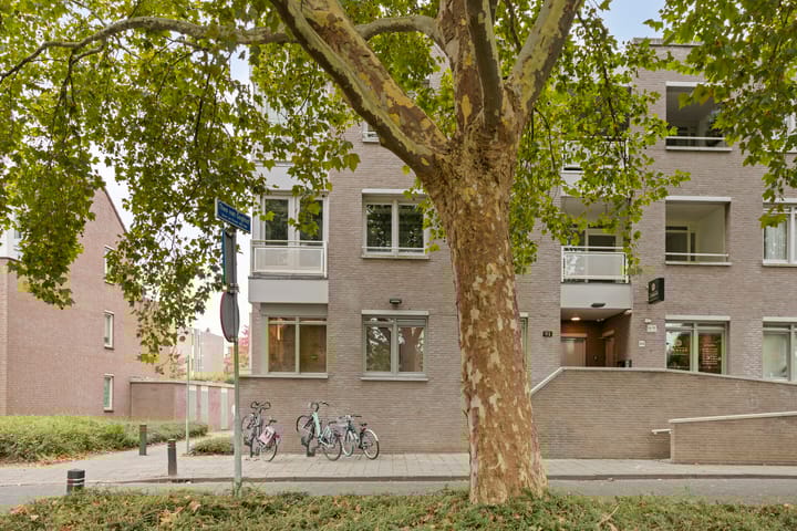 Foto 3 van Vincent van Goghplein 115