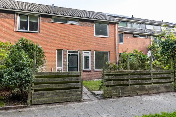 Foto 2 van Dingenpad 21