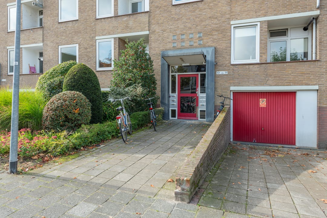 Foto 2 van Wolvenlaan 101