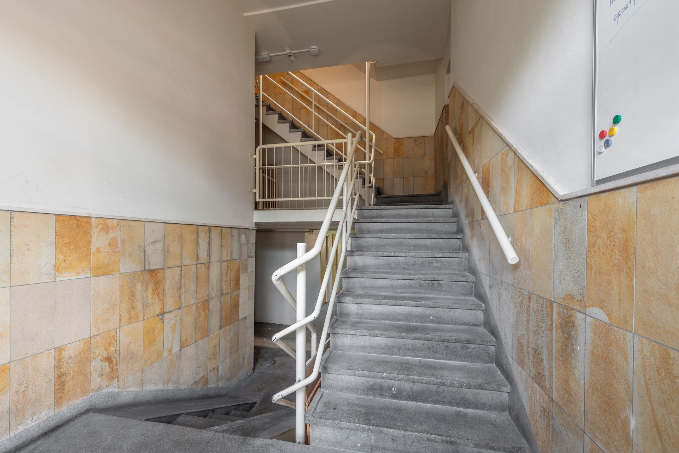 Foto 3 van Wolvenlaan 101