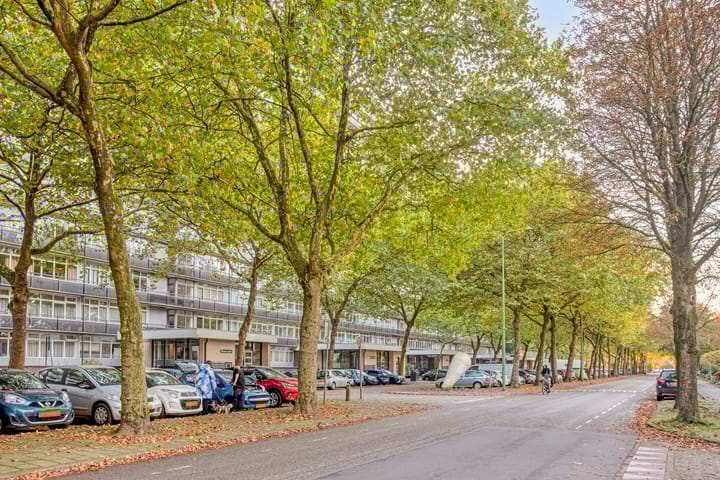 Foto 2 van Laan van Vollenhove 2389