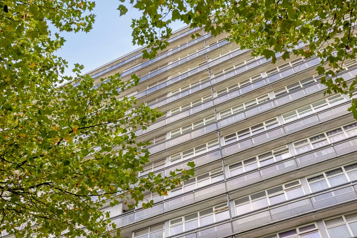 Foto 4 van Laan van Vollenhove 2389