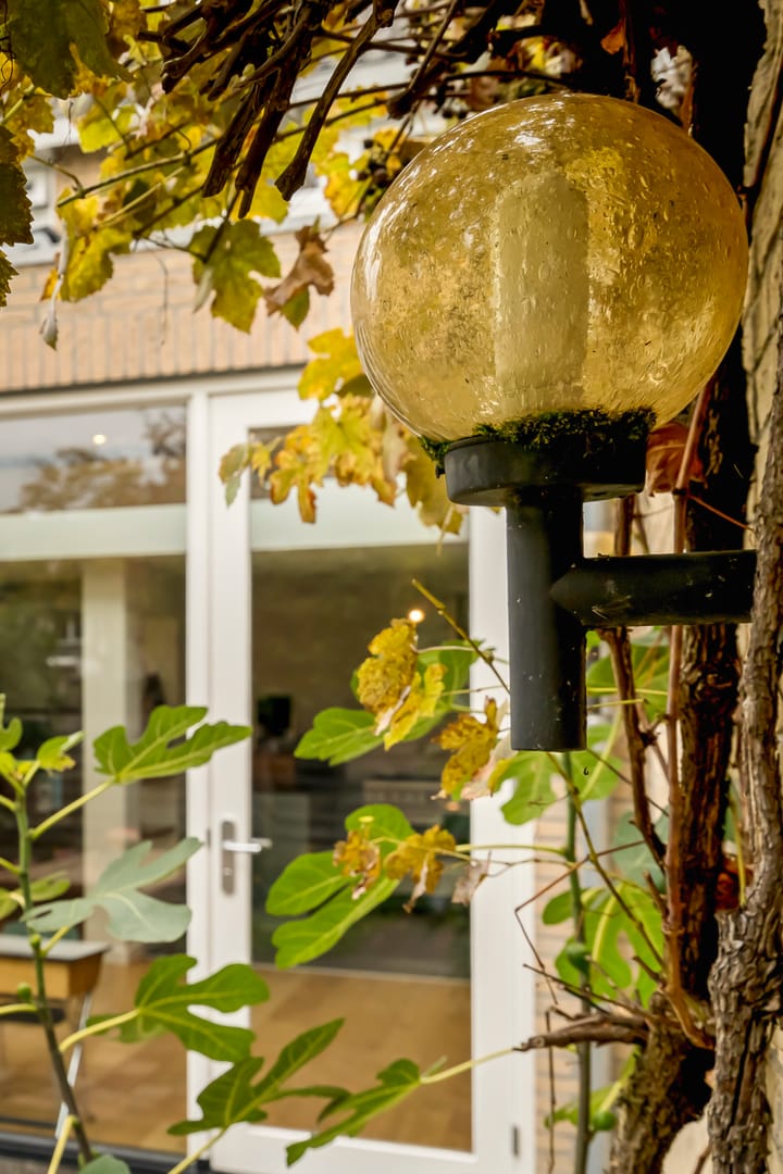 Photo 51 of Koningsvaren 115