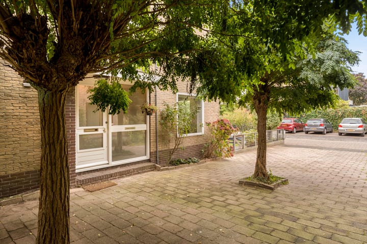 Photo 53 of Koningsvaren 115