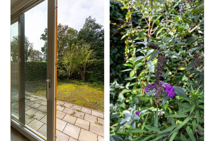 Photo 31 of Jan van Galenlaan 31