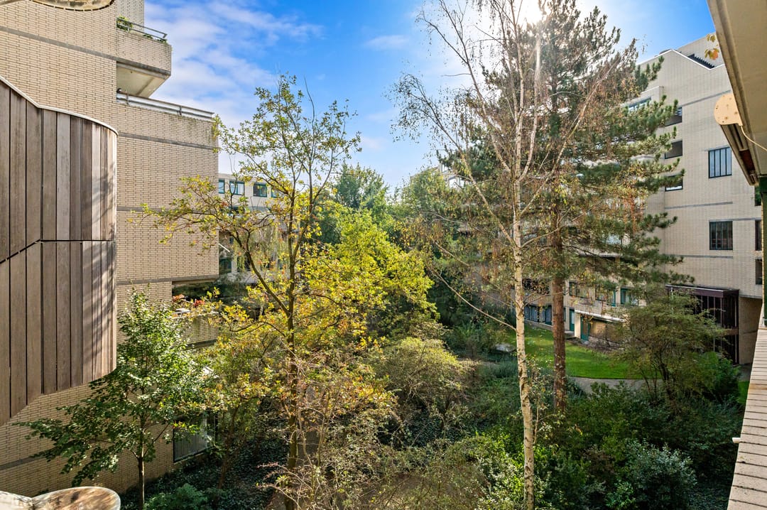 Foto 22 van Burgemeester Patijnlaan 438