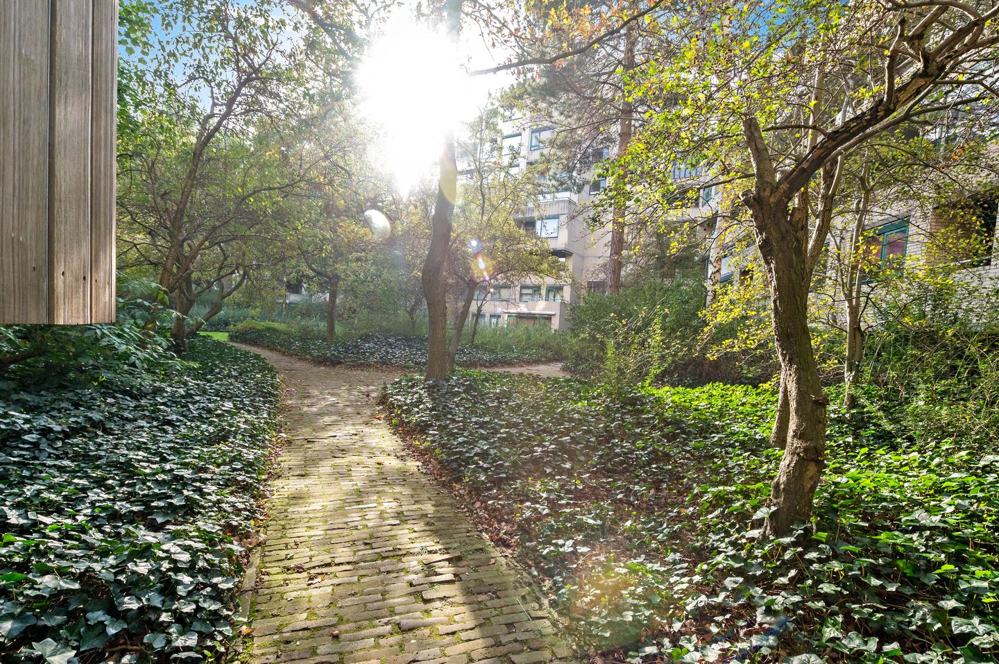 Foto 25 van Burgemeester Patijnlaan 438