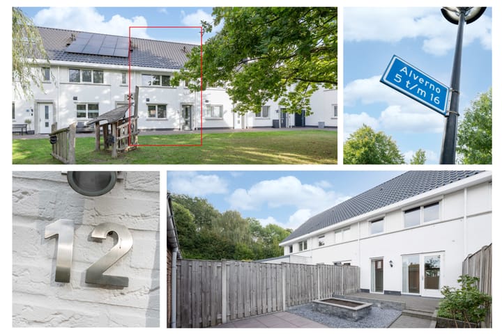 Photo 2 of Alverno 12