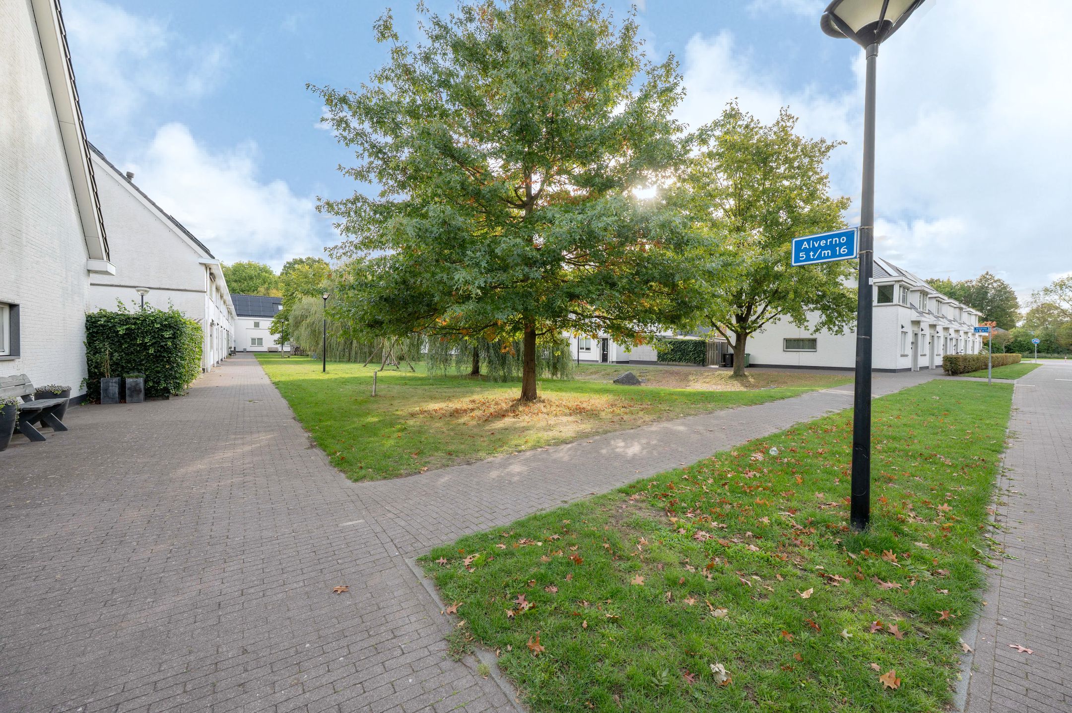 Foto 30 van Alverno 12