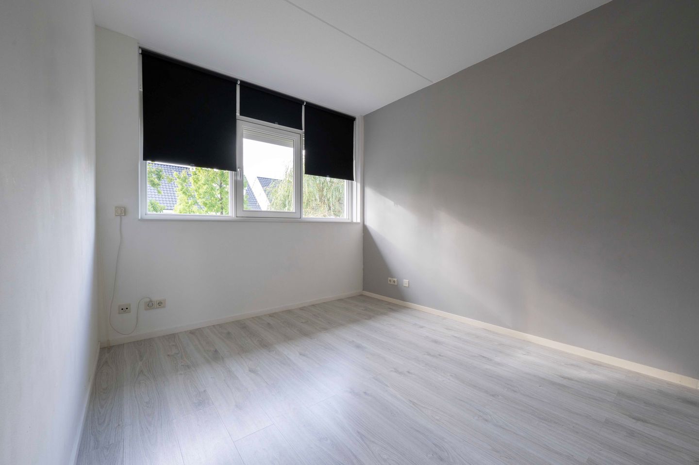 Foto 25 van Alverno 12