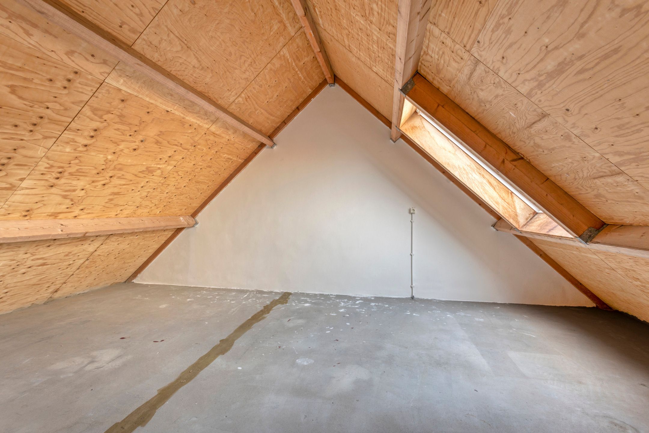 Foto 27 van Albadastins 60