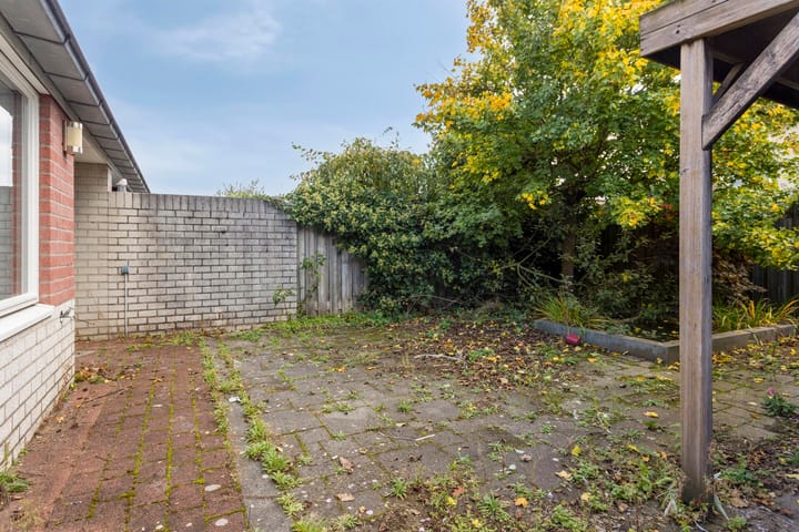 Photo 25 of Musketier 36