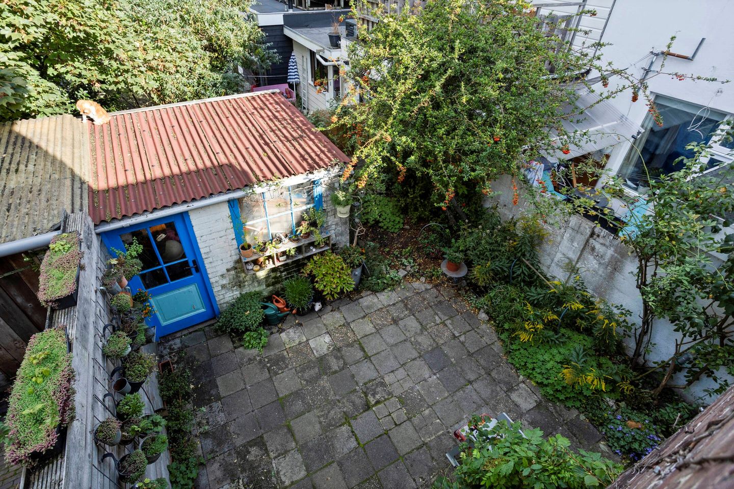 Foto 29 van Ternatestraat 1