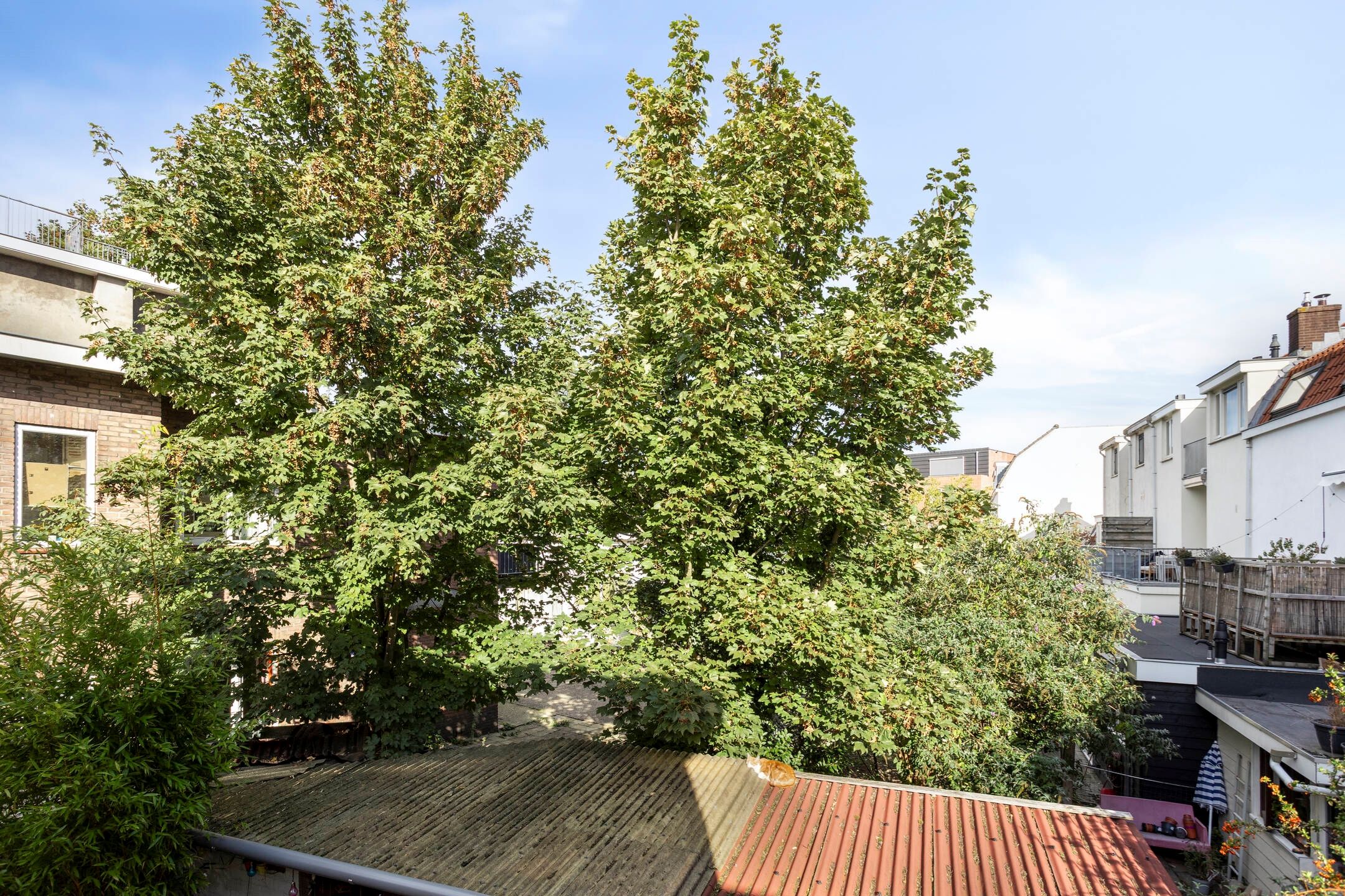 Foto 30 van Ternatestraat 1