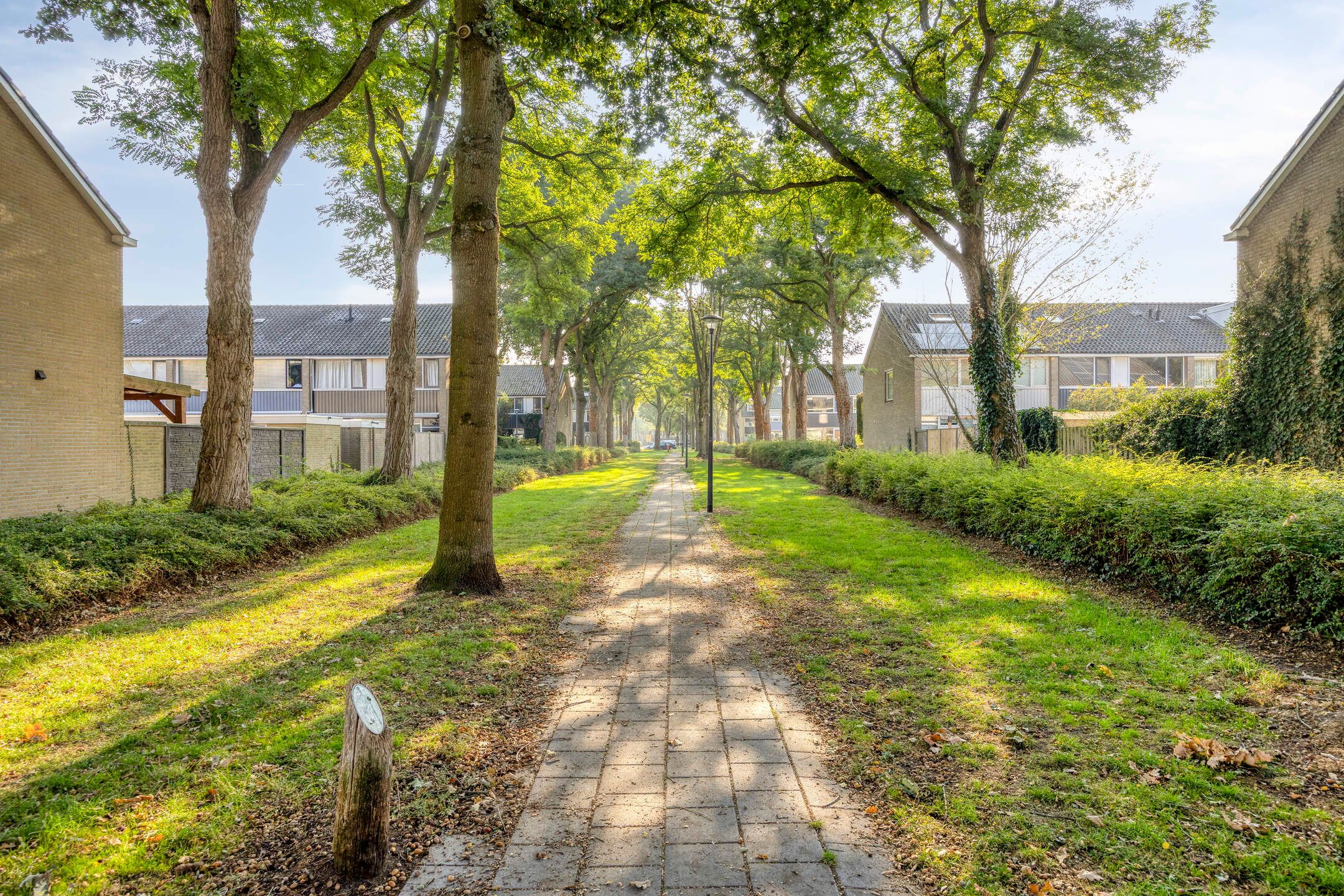 Foto 39 van Wagenaarstraat 32