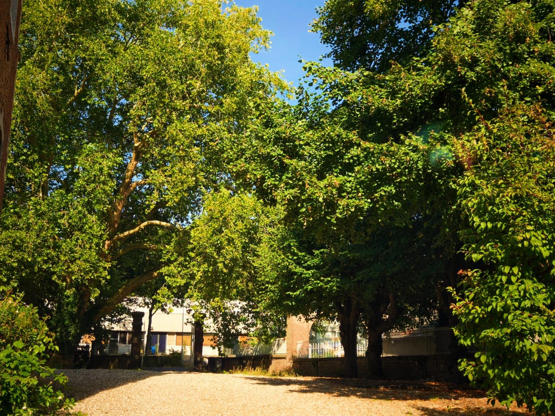 Foto 37 van Kolmonderstraat 22-A