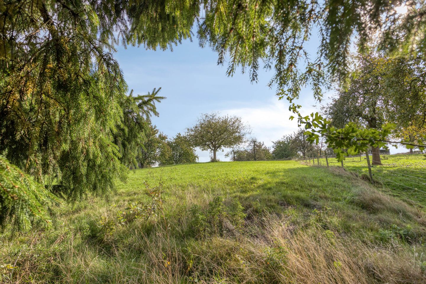 Foto 29 van Dorpsstraat 108