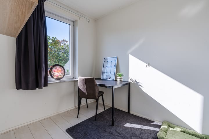 Foto 55 van Schapendrift 9